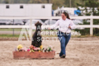 Petes Equine Photography of the draft horse hitch and mini horse competitions at the 2024 Ancaster Fair.