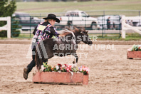 Petes Equine Photography of the draft horse hitch and mini horse competitions at the 2024 Ancaster Fair.