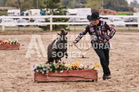 Petes Equine Photography of the draft horse hitch and mini horse competitions at the 2024 Ancaster Fair.