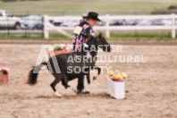 Petes Equine Photography of the draft horse hitch and mini horse competitions at the 2024 Ancaster Fair.