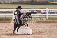 Petes Equine Photography of the draft horse hitch and mini horse competitions at the 2024 Ancaster Fair.