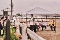 Petes Equine Photography of the draft horse hitch and mini horse competitions at the 2024 Ancaster Fair.