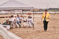 Petes Equine Photography of the draft horse hitch and mini horse competitions at the 2024 Ancaster Fair.