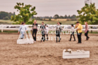 Petes Equine Photography of the draft horse hitch and mini horse competitions at the 2024 Ancaster Fair.