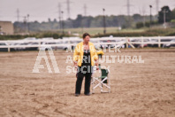 Petes Equine Photography of the draft horse hitch and mini horse competitions at the 2024 Ancaster Fair.