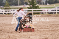 Petes Equine Photography of the draft horse hitch and mini horse competitions at the 2024 Ancaster Fair.