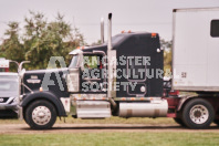 Petes Equine Photography of the draft horse hitch and mini horse competitions at the 2024 Ancaster Fair.