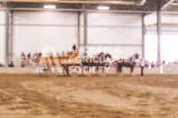 Pete's Equine Photography from the Ancaster Fair - Driving Draft Horses and Hitches in action.