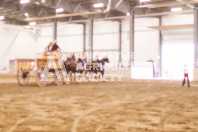 Pete's Equine Photography from the Ancaster Fair - Driving Draft Horses and Hitches in action.