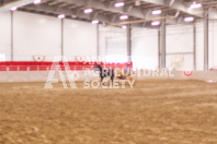 Pete's Equine Photography from the Ancaster Fair - Driving Draft Horses and Hitches in action.