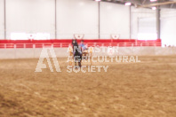 Pete's Equine Photography from the Ancaster Fair - Driving Draft Horses and Hitches in action.