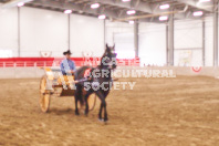 Pete's Equine Photography from the Ancaster Fair - Driving Draft Horses and Hitches in action.