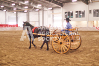 Pete's Equine Photography from the Ancaster Fair - Driving Draft Horses and Hitches in action.