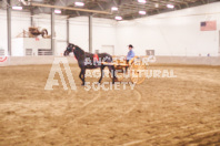 Pete's Equine Photography from the Ancaster Fair - Driving Draft Horses and Hitches in action.