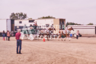 Pete's Equine Photography from the Ancaster Fair - Driving Draft Horses and Hitches in action.