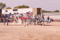 Pete's Equine Photography from the Ancaster Fair - Driving Draft Horses and Hitches in action.