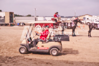 Pete's Equine Photography from the Ancaster Fair - Driving Draft Horses and Hitches in action.