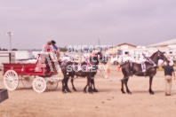 Pete's Equine Photography from the Ancaster Fair - Driving Draft Horses and Hitches in action.