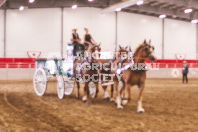 Pete's Equine Photography from the Ancaster Fair - Driving Draft Horses and Hitches in action.