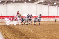 Pete's Equine Photography from the Ancaster Fair - Driving Draft Horses and Hitches in action.