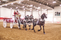 Pete's Equine Photography from the Ancaster Fair - Driving Draft Horses and Hitches in action.