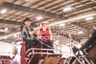 Pete's Equine Photography from the Ancaster Fair - Driving Draft Horses and Hitches in action.