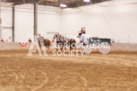 Pete's Equine Photography from the Ancaster Fair - Driving Draft Horses and Hitches in action.