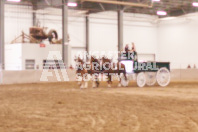 Pete's Equine Photography from the Ancaster Fair - Driving Draft Horses and Hitches in action.