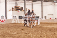 Pete's Equine Photography from the Ancaster Fair - Driving Draft Horses and Hitches in action.