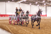 Pete's Equine Photography from the Ancaster Fair - Driving Draft Horses and Hitches in action.