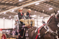 Pete's Equine Photography from the Ancaster Fair - Driving Draft Horses and Hitches in action.