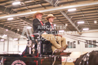 Pete's Equine Photography from the Ancaster Fair - Driving Draft Horses and Hitches in action.