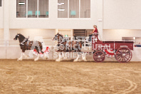 Pete's Equine Photography from the Ancaster Fair - Driving Draft Horses and Hitches in action.