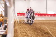 Pete's Equine Photography from the Ancaster Fair - Driving Draft Horses and Hitches in action.