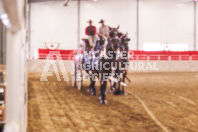 Pete's Equine Photography from the Ancaster Fair - Driving Draft Horses and Hitches in action.