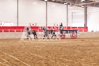 Pete's Equine Photography from the Ancaster Fair - Driving Draft Horses and Hitches in action.