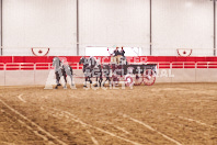 Pete's Equine Photography from the Ancaster Fair - Driving Draft Horses and Hitches in action.