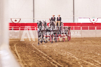 Pete's Equine Photography from the Ancaster Fair - Driving Draft Horses and Hitches in action.