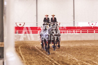 Pete's Equine Photography from the Ancaster Fair - Driving Draft Horses and Hitches in action.