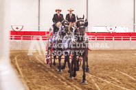 Pete's Equine Photography from the Ancaster Fair - Driving Draft Horses and Hitches in action.