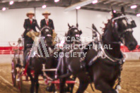 Pete's Equine Photography from the Ancaster Fair - Driving Draft Horses and Hitches in action.