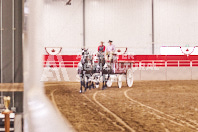 Pete's Equine Photography from the Ancaster Fair - Driving Draft Horses and Hitches in action.