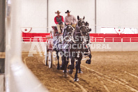 Pete's Equine Photography from the Ancaster Fair - Driving Draft Horses and Hitches in action.