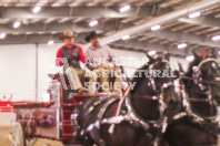 Pete's Equine Photography from the Ancaster Fair - Driving Draft Horses and Hitches in action.