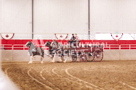 Pete's Equine Photography from the Ancaster Fair - Driving Draft Horses and Hitches in action.