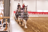 Pete's Equine Photography from the Ancaster Fair - Driving Draft Horses and Hitches in action.