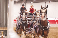 Pete's Equine Photography from the Ancaster Fair - Driving Draft Horses and Hitches in action.