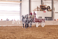 Pete's Equine Photography from the Ancaster Fair - Driving Draft Horses and Hitches in action.