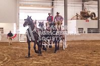 Pete's Equine Photography from the Ancaster Fair - Driving Draft Horses and Hitches in action.