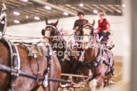 Pete's Equine Photography from the Ancaster Fair - Driving Draft Horses and Hitches in action.